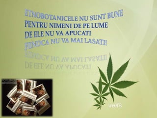 Efectul nociv al consumului de droguri