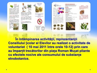 În întâmpinarea activității, reprezentanții
Consiliului Școlar al Elevilor au realizat o activitate de
voluntariat ( 10 mai 2011 între orele 10-12) prin care
au împarțit trecătorilor din piața Roman Mușat pliante
cu efectele nocive ale consumului de substanțe
etnobotanice.
 