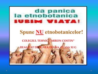 Spune NU etnobotanicelor!
 COLEGIUL TEHNIC “ MIRON COSTIN”

REALIZAT DE IGNEA DIANA, CLASA XI G
 