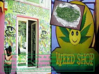 De fapt, este vorba de plante etnobotanice psihoactive,
respectiv plante care, prin consumarea în diverse forme, schimbă
modul de manifestare fizică sau mentală a unei persoane, şi nu este
interzisă de reglementările în vigoare.
 