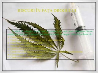 RISCURI ÎN FAŢA DROGULUI



    In afară de educaţia greşită faţă de consum, un copil poate întâmpina diverse
condiţii de viaţă care îl apropie, fără să-şi dea seama, de droguri. Iată câteva dintre ele:
 Când familia ta are necazuri
• Când nu ai prieteni adevăraţi şi nici o viaţă interesantă
 Când drogul se afla la îndemână
• Când eşti inconjurat de consumatori de drog
 Când ai prea mulţi bani şi prea mult timp
• Când cineva din familie este dependent de alcool, tutun sau medicamente.
 Când părinţii nu ştiu să te educe
• Când nu ai cu cine să comunici
 