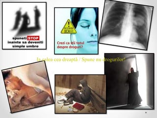 Ia calea cea dreaptă / Spune nu drogurilor!
 