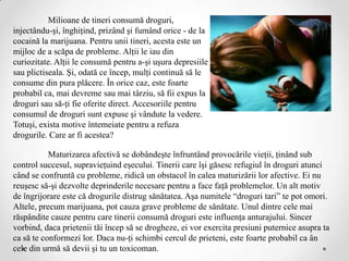 Milioane de tineri consumă droguri,
injectându-şi, înghiţind, prizând şi fumând orice - de la
cocaină la marijuana. Pentru unii tineri, acesta este un
mijloc de a scăpa de probleme. Alţii le iau din
curiozitate. Alţii le consumă pentru a-şi uşura depresiile
sau plictiseala. Şi, odată ce încep, mulţi continuă să le
consume din pura plăcere. În orice caz, este foarte
probabil ca, mai devreme sau mai târziu, să fii expus la
droguri sau să-ţi fie oferite direct. Accesoriile pentru
consumul de droguri sunt expuse şi vândute la vedere.
Totuşi, exista motive întemeiate pentru a refuza
drogurile. Care ar fi acestea?

           Maturizarea afectivă se dobândeşte înfruntând provocările vieţii, ţinând sub
control succesul, supravieţuind eşecului. Tinerii care îşi găsesc refugiul în droguri atunci
când se confruntă cu probleme, ridică un obstacol în calea maturizării lor afective. Ei nu
reuşesc să-şi dezvolte deprinderile necesare pentru a face faţă problemelor. Un alt motiv
de îngrijorare este că drogurile distrug sănătatea. Aşa numitele “droguri tari” te pot omori.
Altele, precum marijuana, pot cauza grave probleme de sănătate. Unul dintre cele mai
răspândite cauze pentru care tinerii consumă droguri este influenţa anturajului. Sincer
vorbind, daca prietenii tăi încep să se drogheze, ei vor exercita presiuni puternice asupra ta
ca să te conformezi lor. Daca nu-ţi schimbi cercul de prieteni, este foarte probabil ca ân
cele din urmă să devii şi tu un toxicoman.
 