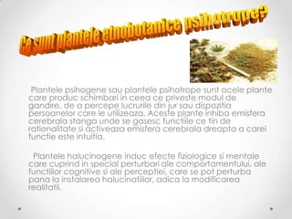 Plantele psihogene sau plantele psihotrope sunt acele plante
care produc schimbari in ceea ce priveste modul de
gandire, de a percepe lucrurile din jur sau dispozitia
persoanelor care le utilizeaza. Aceste plante inhiba emisfera
cerebrala stanga unde se gasesc functiile ce tin de
rationalitate si activeaza emisfera cerebrala dreapta a carei
functie este intuitia.

 Plantele halucinogene induc efecte fiziologice si mentale
care cuprind in special perturbari ale comportamentului, ale
functiilor cognitive si ale perceptiei, care se pot perturba
pana la instalarea halucinatiilor, adica la modificarea
realitatii.
 