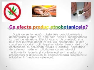 După ce se fumează, substanţele canabiomimetice
declanşează o stare de ameţeală ("high"), asemănătoare
cu cea de ebrietate. Efectul acesta de ameţeală este
mult mai puternic decât al THC-ului din canabis. În alte
cazuri s-a raportat: agitaţie psihomotorie, tremor , delir , stări
confuzionale cu halucinaţii vizuale şi auditive, necesitând
de cele mai multe ori spitalizarea consumatorului.
 În România, teoretic şi conform legii sunt interzise, dar
producătorii şi distribuitorii le comercializează sub pretextul
utilizării lor în medicina veterinară.
 