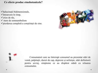 Ce efecte produc etnobotanicele?


halucinaţii bidimensionale,
întoarcere în timp,
crize de râs,
 stare de somnambulism
pierderea completă a conştiinţei de sine.




                             Consumatori care au întrerupt consumul au prezentat stări de
                        vomă, palpitaţii, dureri de cap, depresie şi nelinişte, stări definitorii
                        pentru sevraj, simptome ce au dispărut odată cu reluarea
                        consumului.
 