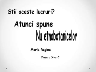 Maria Regina

      Clasa a X-a C
 