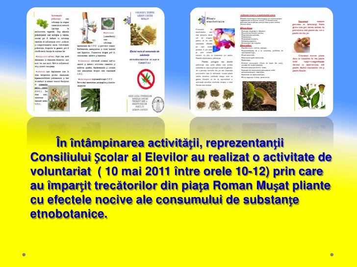 Efectul Nociv Al Consumului De Droguri