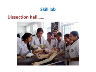 Skill lab
 