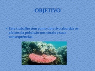  Este trabalho tem como objetivo abordar os
efeitos da poluição nos corais e suas
consequências.
 