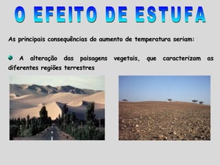 As principais consequências do aumento de temperatura seriam: A alteração das paisagens vegetais, que caracterizam as diferentes regiões terrestres O EFEITO DE ESTUFA 