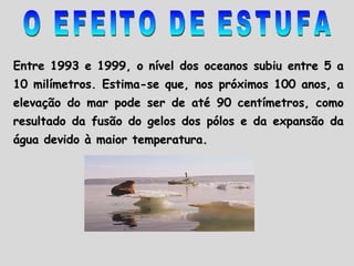 Entre 1993 e 1999, o nível dos oceanos subiu entre 5 a 10 milímetros. Estima-se que, nos próximos 100 anos, a elevação do mar pode ser de até 90 centímetros, como resultado da fusão do gelos dos pólos e da expansão da água devido à maior temperatura.  O EFEITO DE ESTUFA 