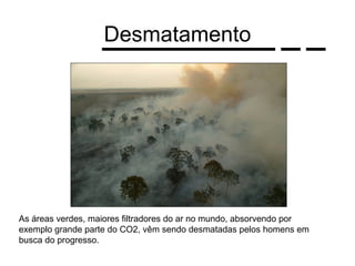 Desmatamento




As áreas verdes, maiores filtradores do ar no mundo, absorvendo por
exemplo grande parte do CO2, vêm sendo desmatadas pelos homens em
busca do progresso.
 