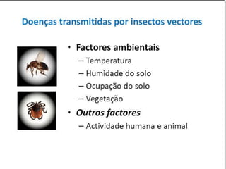 Caminhos da Ciência, Tecnologia e Sociedade (UTL) - Efeito Borboleta - Teoria do Caos e Epidemias