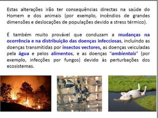 Caminhos da Ciência, Tecnologia e Sociedade (UTL) - Efeito Borboleta - Teoria do Caos e Epidemias