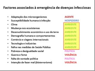 Caminhos da Ciência, Tecnologia e Sociedade (UTL) - Efeito Borboleta - Teoria do Caos e Epidemias