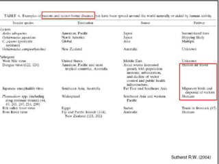Caminhos da Ciência, Tecnologia e Sociedade (UTL) - Efeito Borboleta - Teoria do Caos e Epidemias