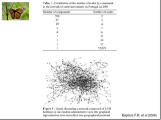 Caminhos da Ciência, Tecnologia e Sociedade (UTL) - Efeito Borboleta - Teoria do Caos e Epidemias