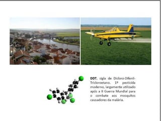 Caminhos da Ciência, Tecnologia e Sociedade (UTL) - Efeito Borboleta - Teoria do Caos e Epidemias