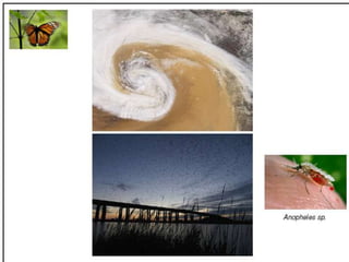 Caminhos da Ciência, Tecnologia e Sociedade (UTL) - Efeito Borboleta - Teoria do Caos e Epidemias