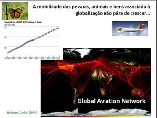 Caminhos da Ciência, Tecnologia e Sociedade (UTL) - Efeito Borboleta - Teoria do Caos e Epidemias