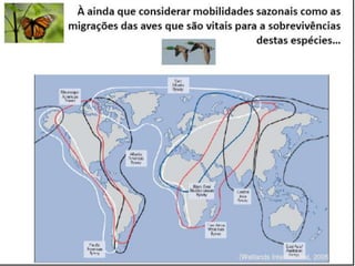 Caminhos da Ciência, Tecnologia e Sociedade (UTL) - Efeito Borboleta - Teoria do Caos e Epidemias