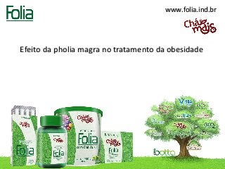 www.folia.ind.br




Efeito da pholia magra no tratamento da obesidade
 