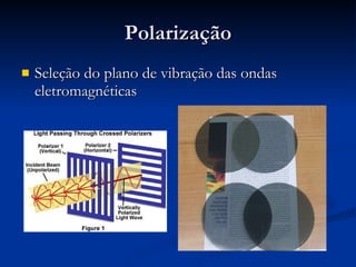 Polarização Seleção do plano de vibração das ondas eletromagnéticas 