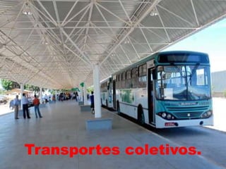 Transportes coletivos.