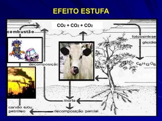CO2 + CO2 + CO2
EFEITO ESTUFA
 