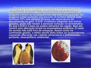Para espécies vegetais e animais, o aumento brusco daPara espécies vegetais e animais, o aumento brusco da
temperatura pode ser fatal. Na Antártida, por exemplo, astemperatura pode ser fatal. Na Antártida, por exemplo, as
populações depopulações de krillkrill (espécie de camarão bem pequeno) e de(espécie de camarão bem pequeno) e de
pingüins sofrem as conseqüências dos dias mais quentes. Ospingüins sofrem as conseqüências dos dias mais quentes. Os
pingüins estão sumindo aos poucos. O número dessas avespingüins estão sumindo aos poucos. O número dessas aves
diminuiu 33% nos últimos 25 anos, em decorrência dodiminuiu 33% nos últimos 25 anos, em decorrência do
derretimento do gelo. O krill, crustáceo adaptado aos maresderretimento do gelo. O krill, crustáceo adaptado aos mares
gelados, pode não resistir à sensível variação no termômetro.gelados, pode não resistir à sensível variação no termômetro.
Só que o krill é a base da cadeia alimentar da região. Sem ele,Só que o krill é a base da cadeia alimentar da região. Sem ele,
haverá uma alteração brutal no ecossistema antártico. O restohaverá uma alteração brutal no ecossistema antártico. O resto
do mundo não está livre de ameaças. Assim como nodo mundo não está livre de ameaças. Assim como no
continente gelado, o efeito estufa afeta todos os ecossistemas,continente gelado, o efeito estufa afeta todos os ecossistemas,
causando alteração nas cadeias alimentares e provocando,causando alteração nas cadeias alimentares e provocando,
portanto, desequilíbrio ambiental.portanto, desequilíbrio ambiental.
 