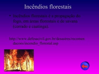 Incêndios florestais
• Incêndios florestais é a propagação do
  fogo, em áreas florestais e de savana
  (cerrado e caatinga).

http://www.defesacivil.gov.br/desastres/recomen
   dacoes/incendio_florestal.asp
 