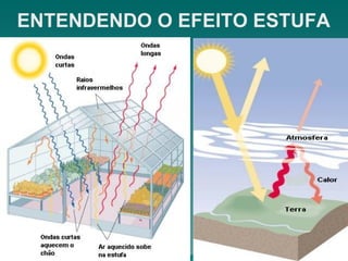 ENTENDENDO O EFEITO ESTUFA 