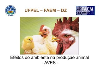 Efeitos do ambiente na produção animal
- AVES -
UFPEL – FAEM – DZ
 