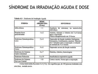 Efeitos biológicos das radiações (1) | PDF