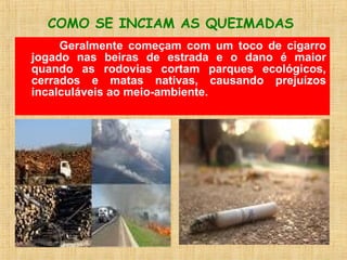 Geralmente começam com um toco de cigarro
jogado nas beiras de estrada e o dano é maior
quando as rodovias cortam parques ecológicos,
cerrados e matas nativas, causando prejuízos
incalculáveis ao meio-ambiente.
COMO SE INCIAM AS QUEIMADAS
 