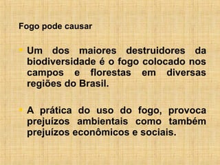 Fogo pode causar
 Um dos maiores destruidores da
biodiversidade é o fogo colocado nos
campos e florestas em diversas
regiões do Brasil.
 A prática do uso do fogo, provoca
prejuízos ambientais como também
prejuízos econômicos e sociais.
 