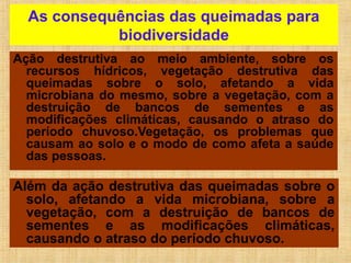 As consequências das queimadas para
biodiversidade
Ação destrutiva ao meio ambiente, sobre os
recursos hídricos, vegetação destrutiva das
queimadas sobre o solo, afetando a vida
microbiana do mesmo, sobre a vegetação, com a
destruição de bancos de sementes e as
modificações climáticas, causando o atraso do
período chuvoso.Vegetação, os problemas que
causam ao solo e o modo de como afeta a saúde
das pessoas.
Além da ação destrutiva das queimadas sobre o
solo, afetando a vida microbiana, sobre a
vegetação, com a destruição de bancos de
sementes e as modificações climáticas,
causando o atraso do período chuvoso.
 