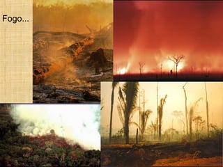Fogo...
 