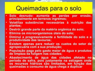 Queimadas para o solo
• Solo desnudo: aumenta as perdas por erosão,
principalmente em terrenos íngremes;
• Volatiliza substâncias necessárias à nutrição das
plantas;
• Destrói grande parte da matéria orgânica do solo;
• Elimina os microorganismos úteis do solo;
• Diminui a progressivamente a fertilidade do solo e a
produtividade das lavouras;
• Existem apenas para reduzir os custos do setor da
agropecuária com a sua produção;
• População paga pelo gasto maior de água e produtos
de limpeza da fuligem nas cidades;
• Abastecimento de água das cidades afetado no
período de safra, pois justamente na estiagem onde
os recursos hídricos são limitados, em função das
queimadas o consumo de água chega a duplicar
 