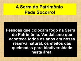 A Serra do Patrimônio
Pede Socorro!
Pessoas que colocam fogo na Serra
do Patrimônio. Vandalismo que
acontece todos os anos em nossa
reserva natural, os efeitos das
queimadas para biodiversidade
nesta área.
 