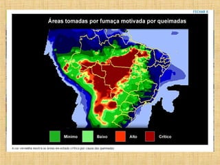 De onde retiramos informações
sobre as queimadas?
 