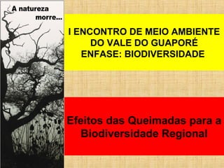 Efeitos das Queimadas para a
Biodiversidade Regional
I ENCONTRO DE MEIO AMBIENTE
DO VALE DO GUAPORÉ
ENFASE: BIODIVERSIDADE
 
