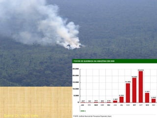 Source: Dr. Virgílio Viana
 