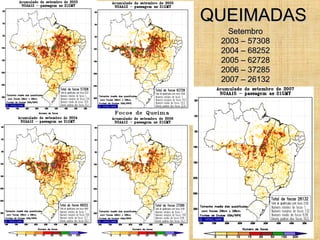 QUEIMADASQUEIMADAS
SetembroSetembro
2003 – 573082003 – 57308
2004 – 682522004 – 68252
2005 – 627282005 – 62728
2006 – 372852006 – 37285
2007 – 261322007 – 26132
 