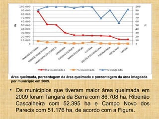 • Os municípios que tiveram maior área queimada em
2009 foram Tangará da Serra com 86.708 ha, Ribeirão
Cascalheira com 52.395 ha e Campo Novo dos
Parecis com 51.176 ha, de acordo com a Figura.
Área queimada, porcentagem da área queimada e porcentagem da área imageada
por município em 2009.
 