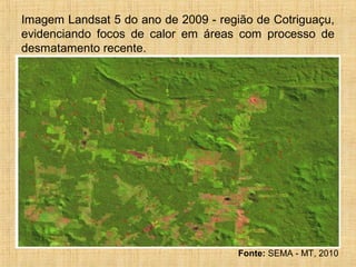 Imagem Landsat 5 do ano de 2009 - região de Cotriguaçu,
evidenciando focos de calor em áreas com processo de
desmatamento recente.
Fonte: SEMA - MT, 2010
 