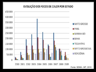 Fonte: SEMA - MT, 2010
 