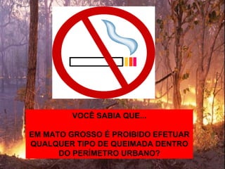 VOCÊ SABIA QUE...
EM MATO GROSSO É PROIBIDO EFETUAR
QUALQUER TIPO DE QUEIMADA DENTRO
DO PERÍMETRO URBANO?
 