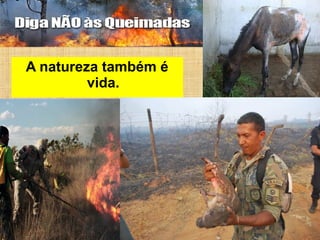 A natureza também é
vida.
 